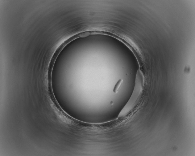 X0000096170980200801181246