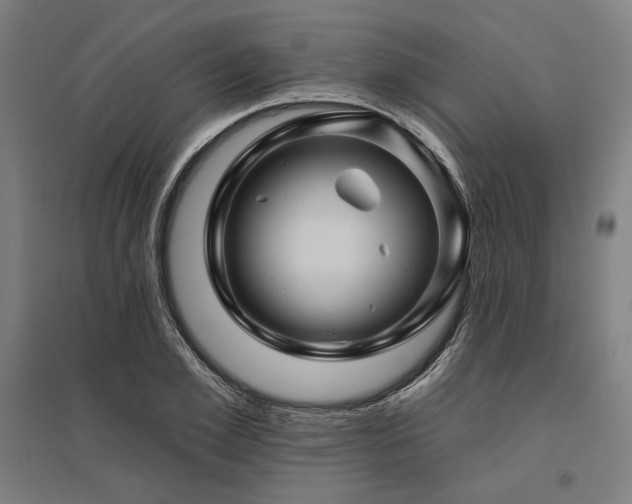 X0000096170981200801181246