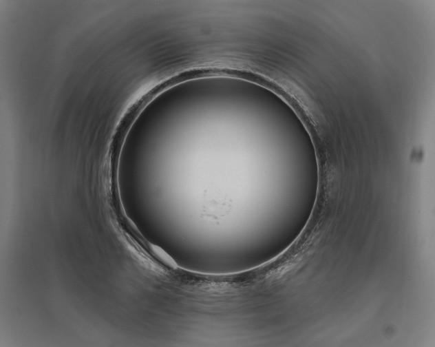 X0000096170982200801181246