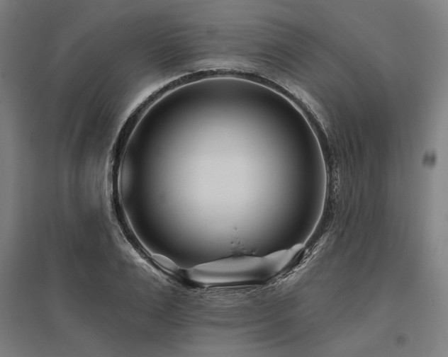 X0000096170983200801181246