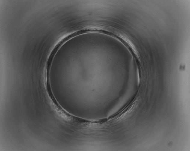 X0000096170984200801181246