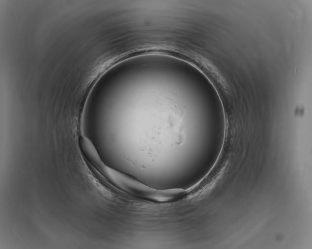 X0000096170985200801181246