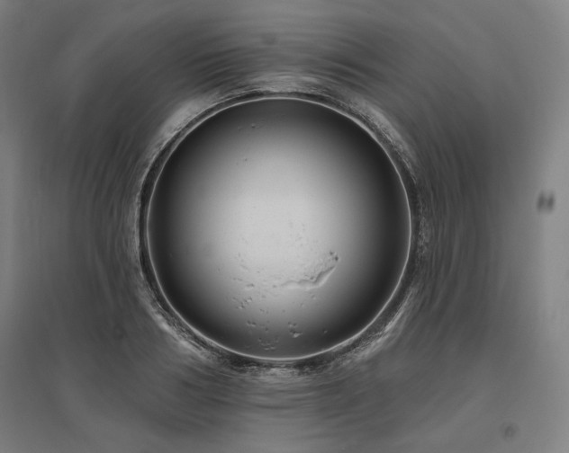 X0000096170986200801181246