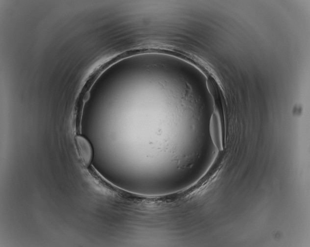 X0000096170987200801181246