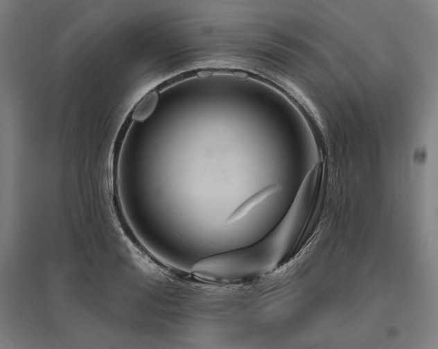X0000096170988200801181246