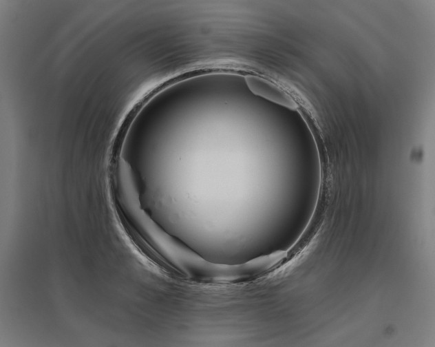 X0000096170989200801181246