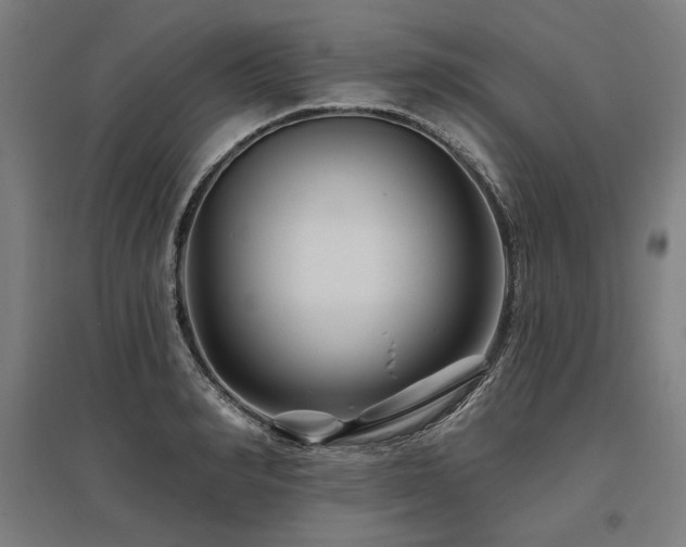 X0000096170990200801181246