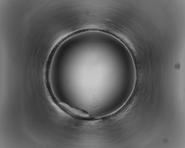 X0000096170991200801181246