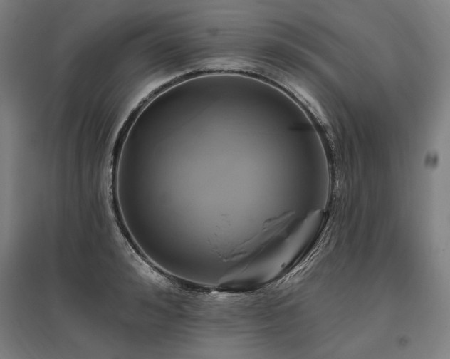 X0000096170992200801181246