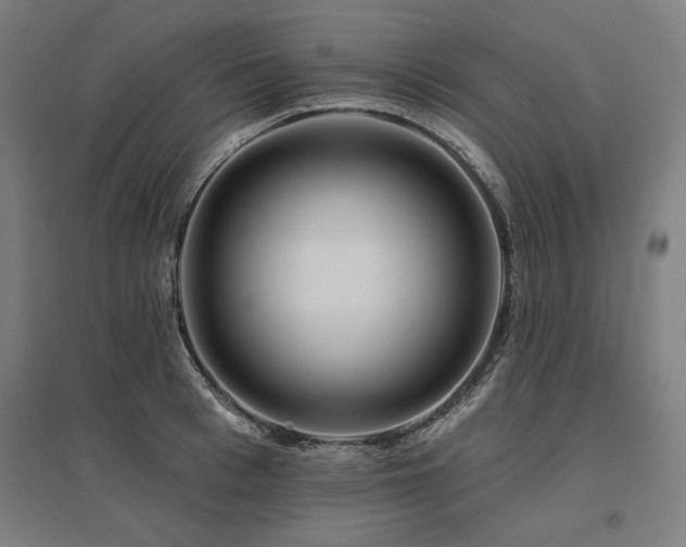 X0000096170993200801181246