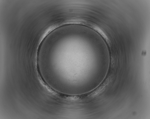 X0000096170994200801181246