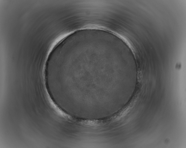 X0000096170995200801181246