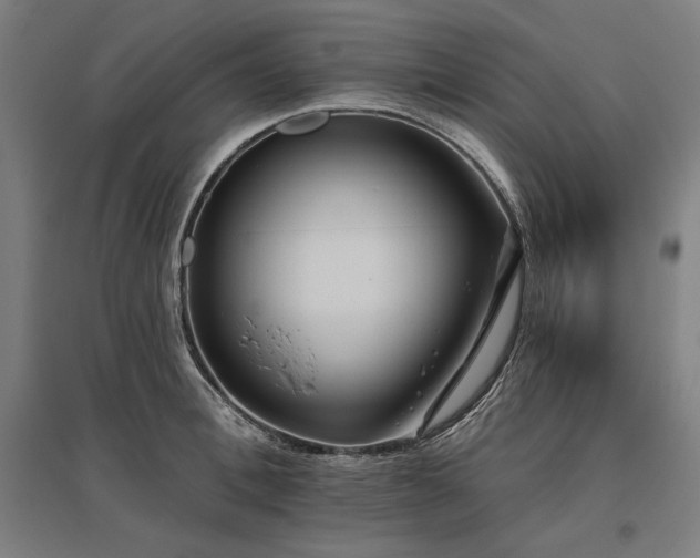 X0000096170996200801181246
