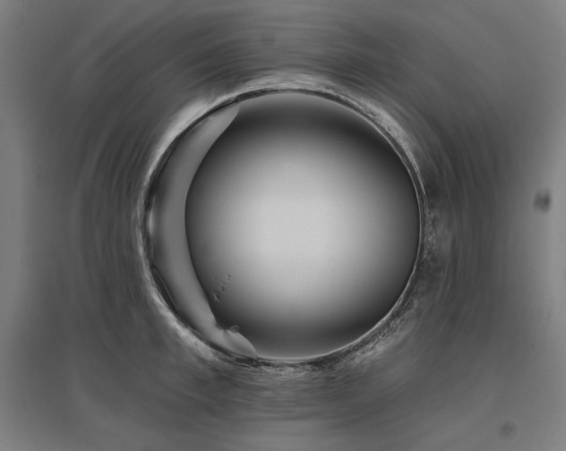 X0000096170997200801181246