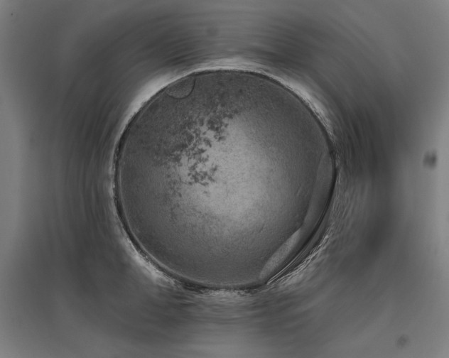 X0000096170998200801181246