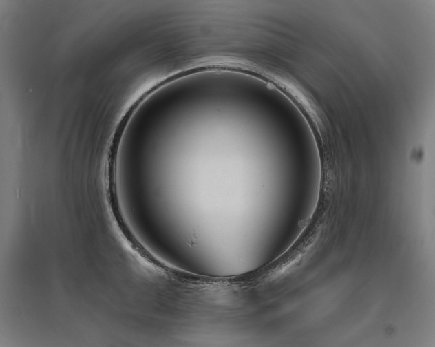 X0000096170999200801181246
