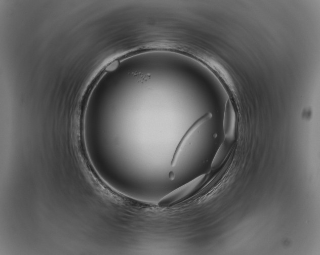 X0000096171000200801181246