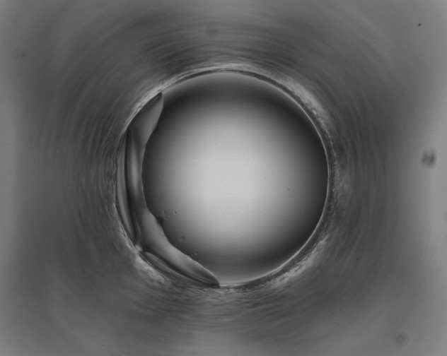 X0000096171001200801181246