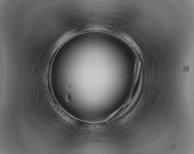 X0000096171002200801181246