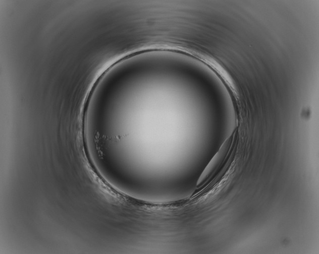 X0000096171004200801181246