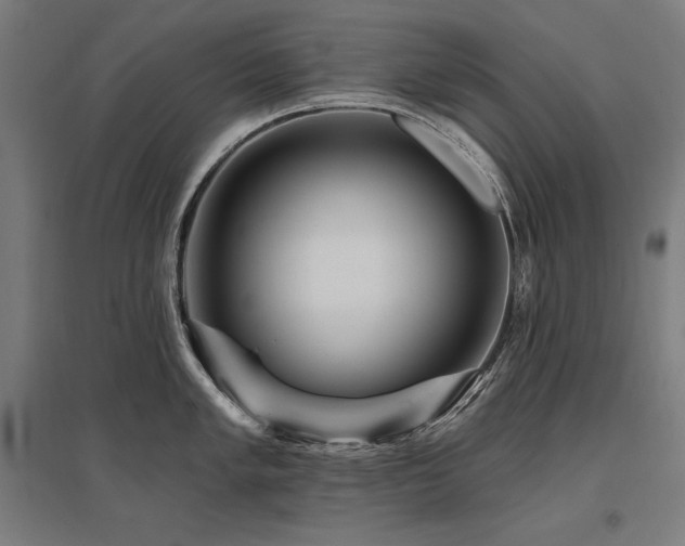 X0000096171005200801181245
