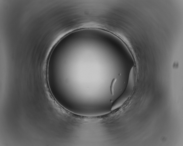 X0000096171008200801181245