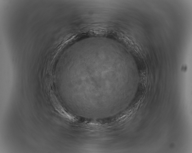 X0000096171009200801181245