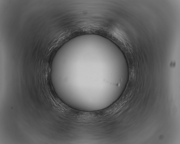 X0000096171012200801181245