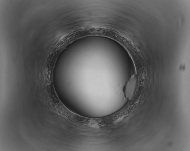 X0000096171013200801181245