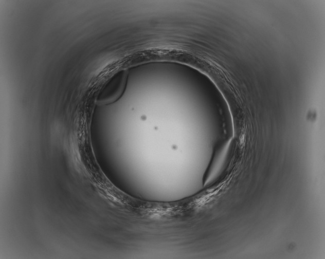 X0000096171014200801181245