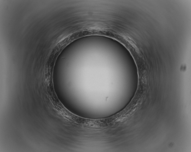 X0000096171015200801181245