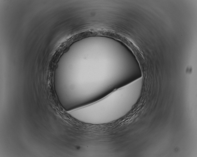 X0000096171016200801181245