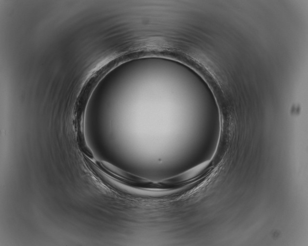 X0000096171018200801181245