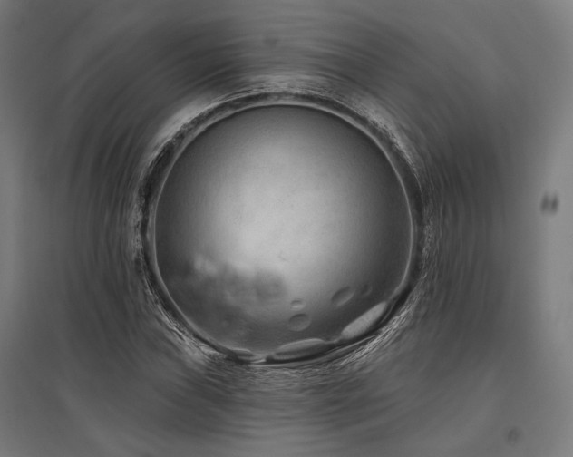X0000096171019200801181245