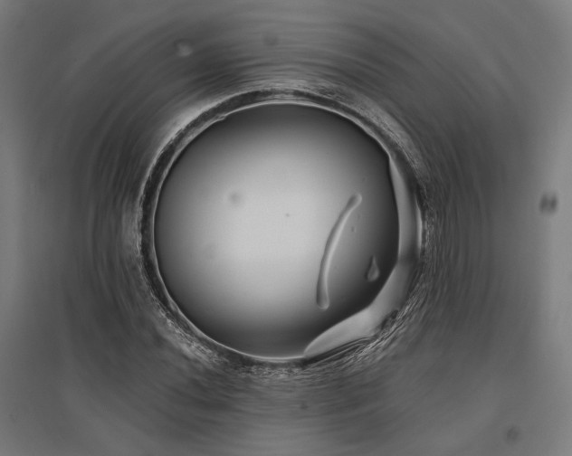 X0000096171020200801181245