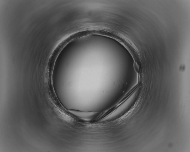 X0000096171021200801181245