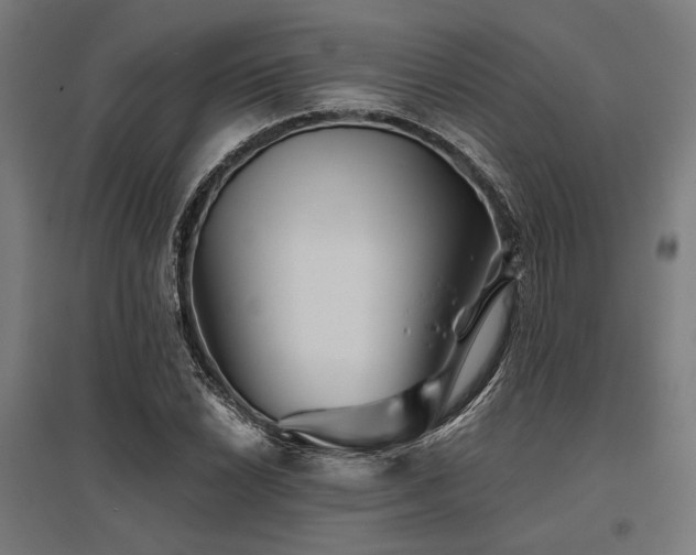 X0000096171022200801181245