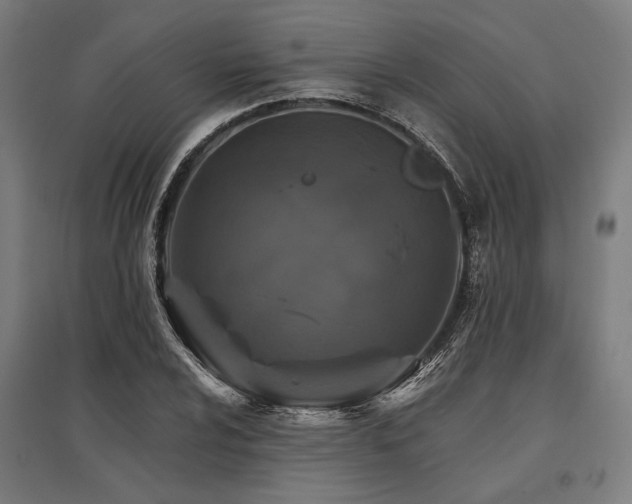 X0000096171024200801181245