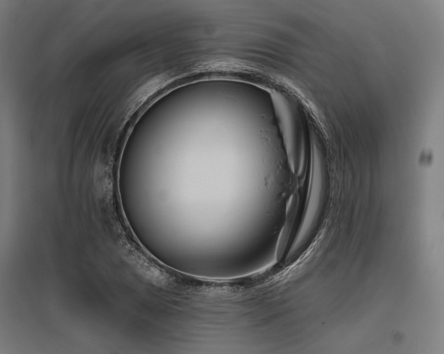 X0000096171025200801181245