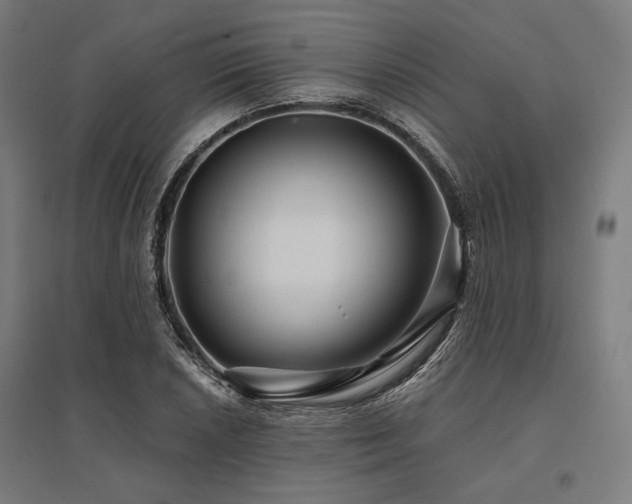 X0000096171026200801181245