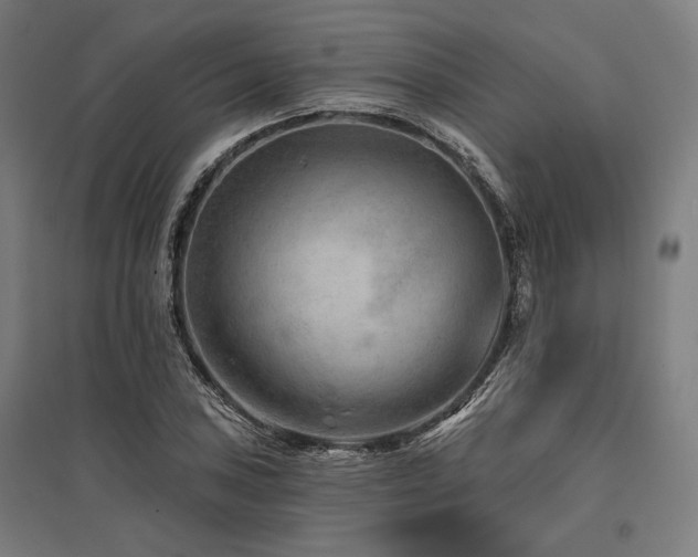 X0000096171027200801181245