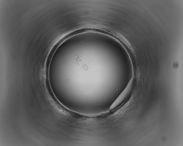 X0000096171028200801181245