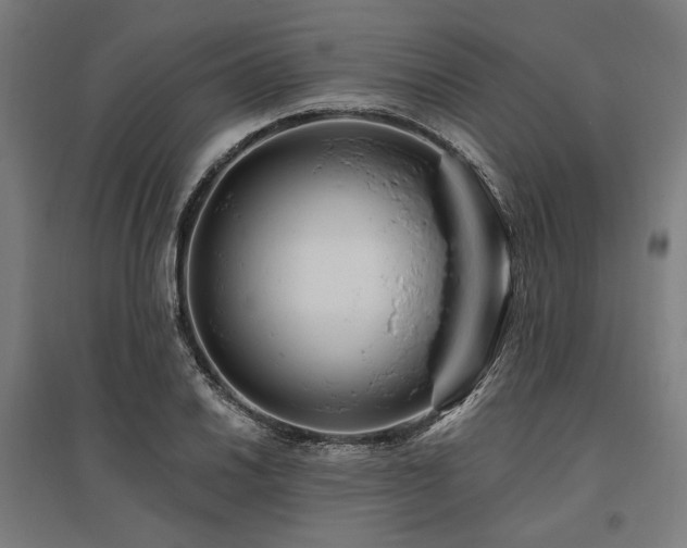 X0000096171030200801181245