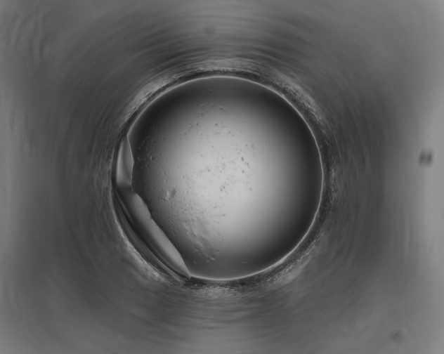 X0000096171033200801181245