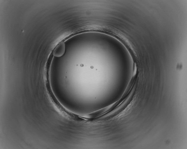 X0000096171034200801181245