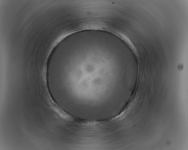 X0000096171035200801181245