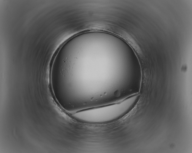 X0000096171036200801181245