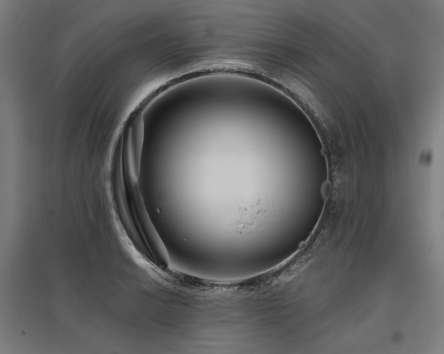 X0000096171038200801181245
