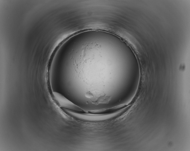 X0000096171040200801181245