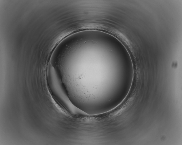 X0000096171041200801181245